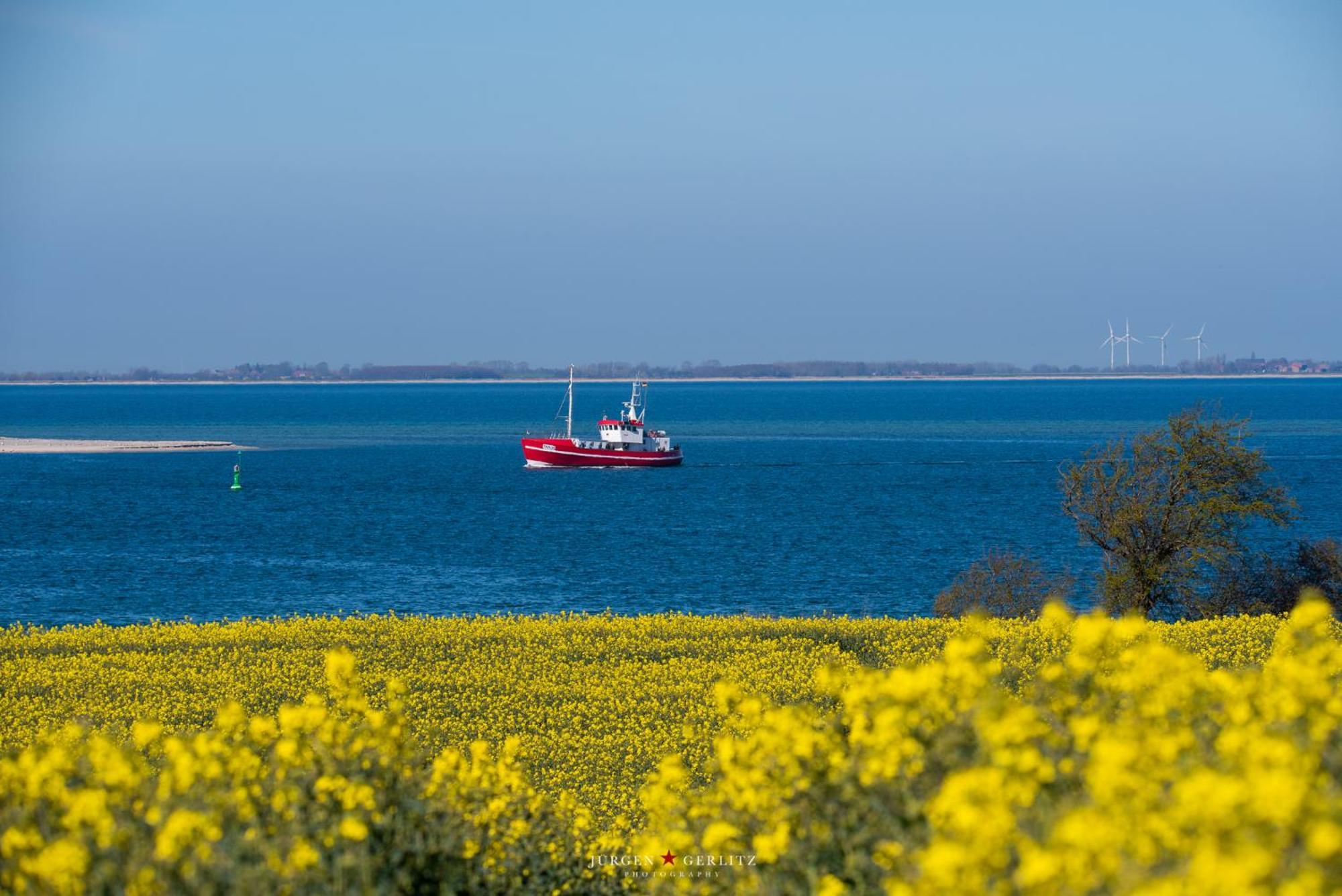 Dornroeschen 2 Lägenhet Steinberg  Exteriör bild